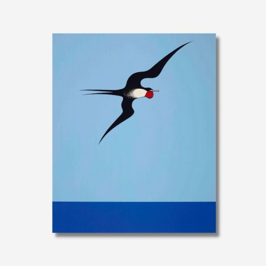 Te Papa Store - Don Binney Pacific Frigate Bird Art Print